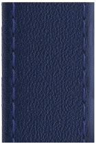 Blue Leather