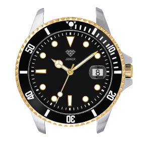 2-Tone Case/Black Dial